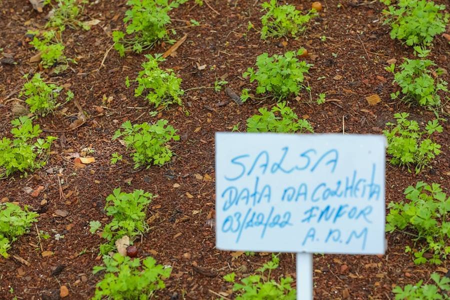 Horta e placa à frente