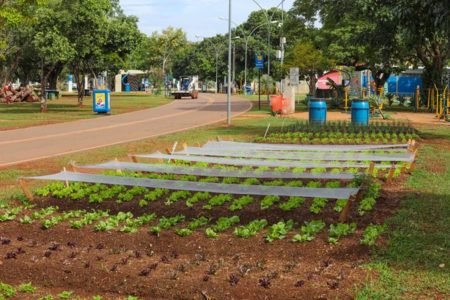 Horta no Parque da Cidade