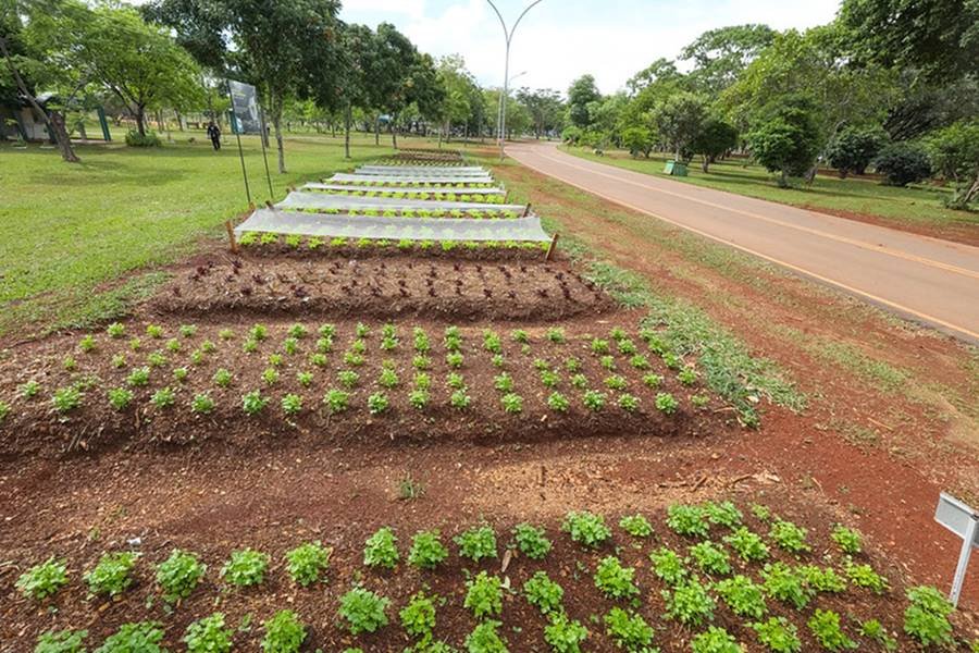 Horta no Parque da Cidade