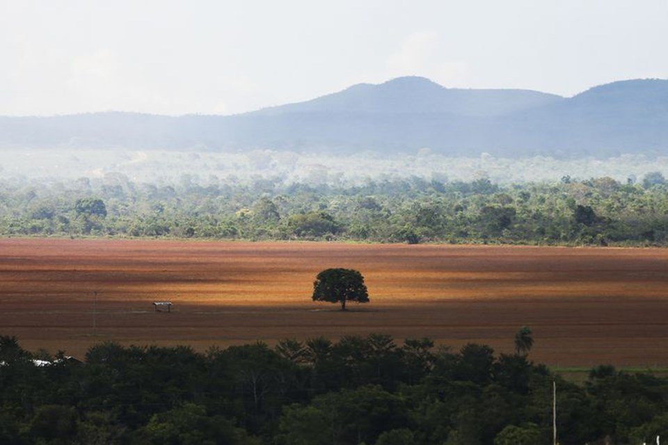 Fácil' e 'legal', desmatamento no Cerrado bate recorde e avança sem  resistência - MST