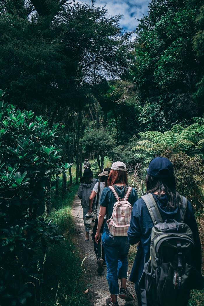 Foto de uma floresta com o clima nublado, cinco amigos caminham na trilha da floresta com mochilas e bonés