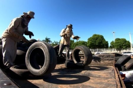 Imagem colorida mostra trabalhadores da Prefeitura de Aparecida de Goiânia (GO) recolhendo pneus durante ação de prevenção à dengue - Metrópoles
