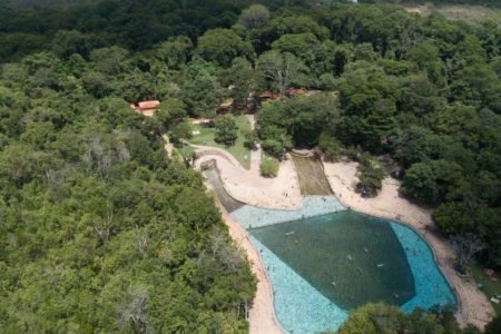Árvores e piscina vistas de cima