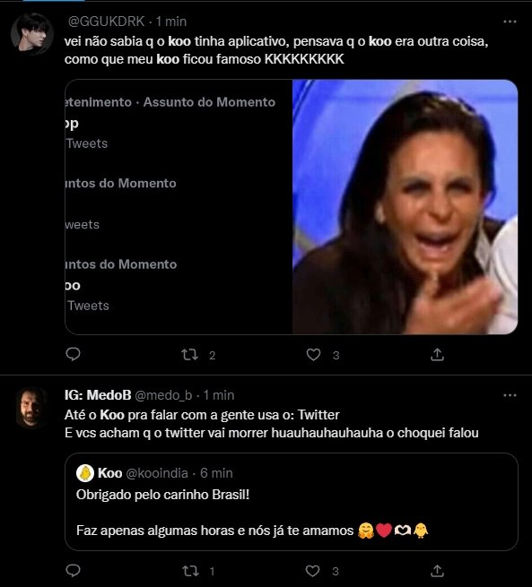 Koo: Rede social vira meme entre brasileiros: Liberei para quem quiser