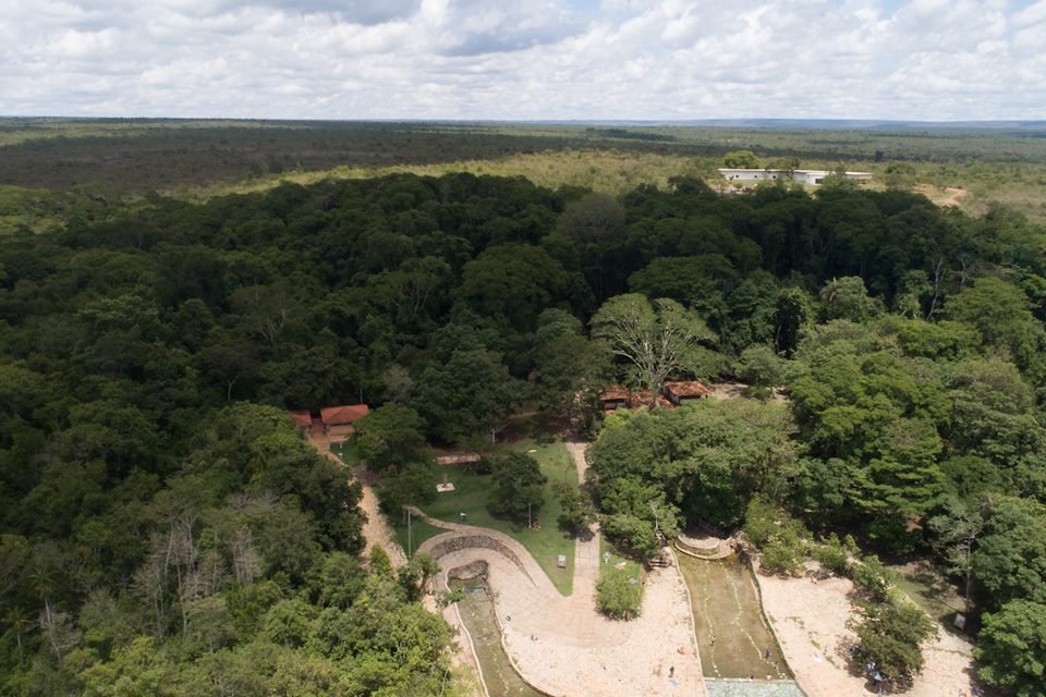 Flona e Parque Nacional de Brasília vão a leilão. Entenda o que