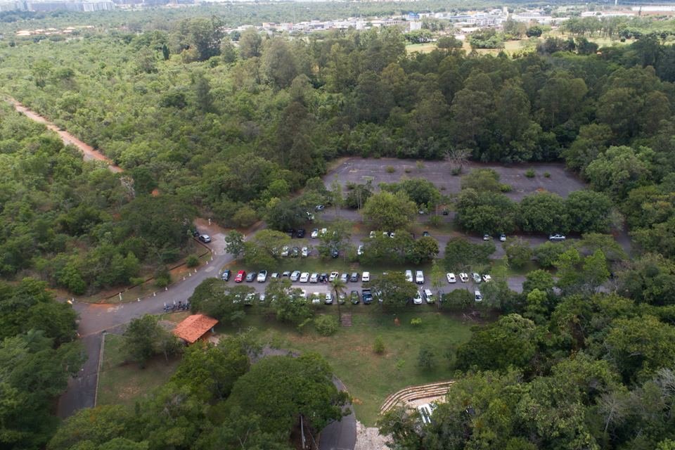 Floresta e estacionamento com carros vistos de cima