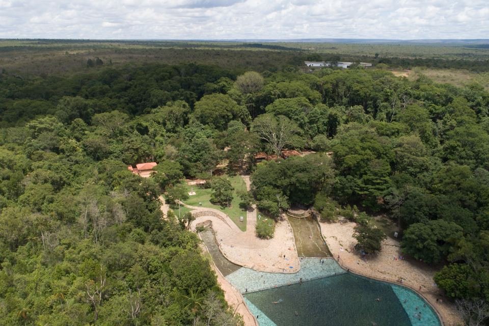 Árvores e piscina ao meio vistas de cima