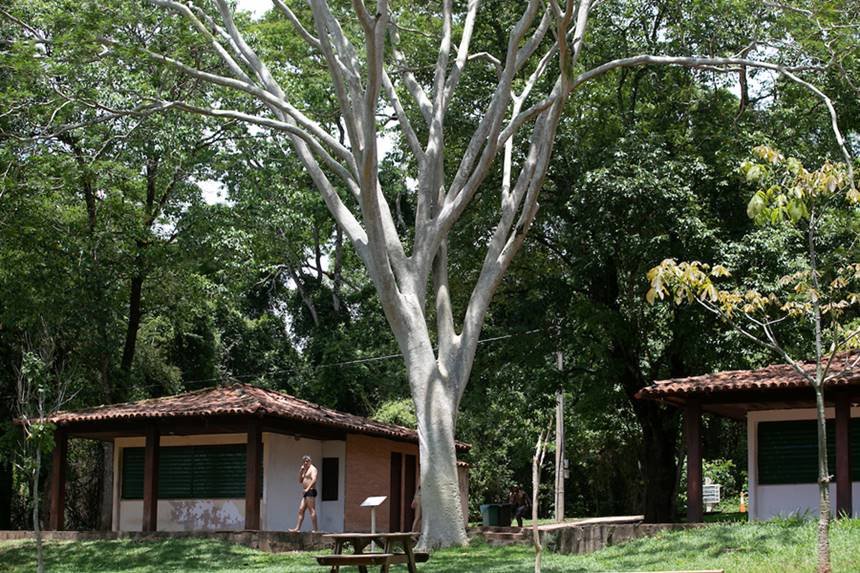 Pessoas passando embaixo de casa no meio de árvores