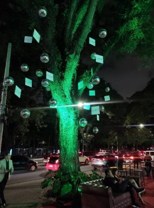 Inauguração da D Concept (Divulgação)