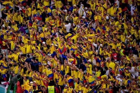 Copa do Mundo - Equador - Torcida
