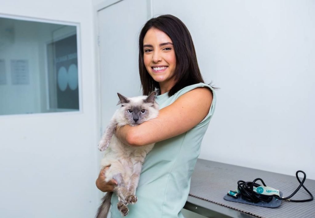 Mulher branca e de cabelo preto examina um gato de cor branco acinzentado enquanto ele está deitado em uma maca
