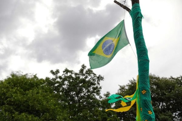 Bandeira do Brasil arramada em árvore