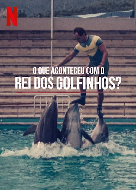 Imagem colorida de um homem com golfinhos - Metrópoles