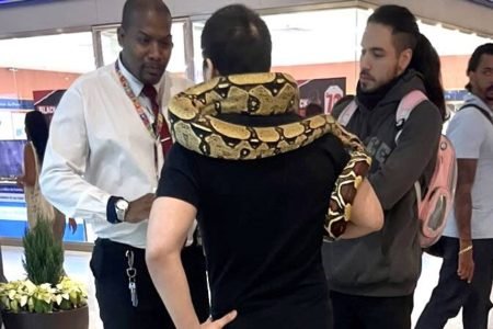 Imagem colorida: segurança de shopping conversa com homem de costas, com uma cobra em seus ombros - Metrópoles