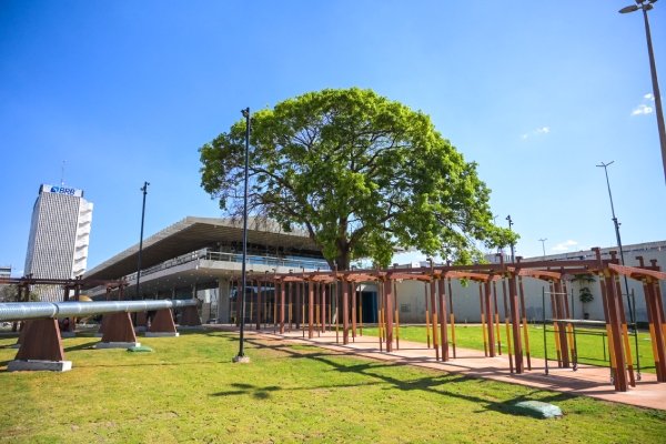 Exposições interativas em gramado no SESI Lab