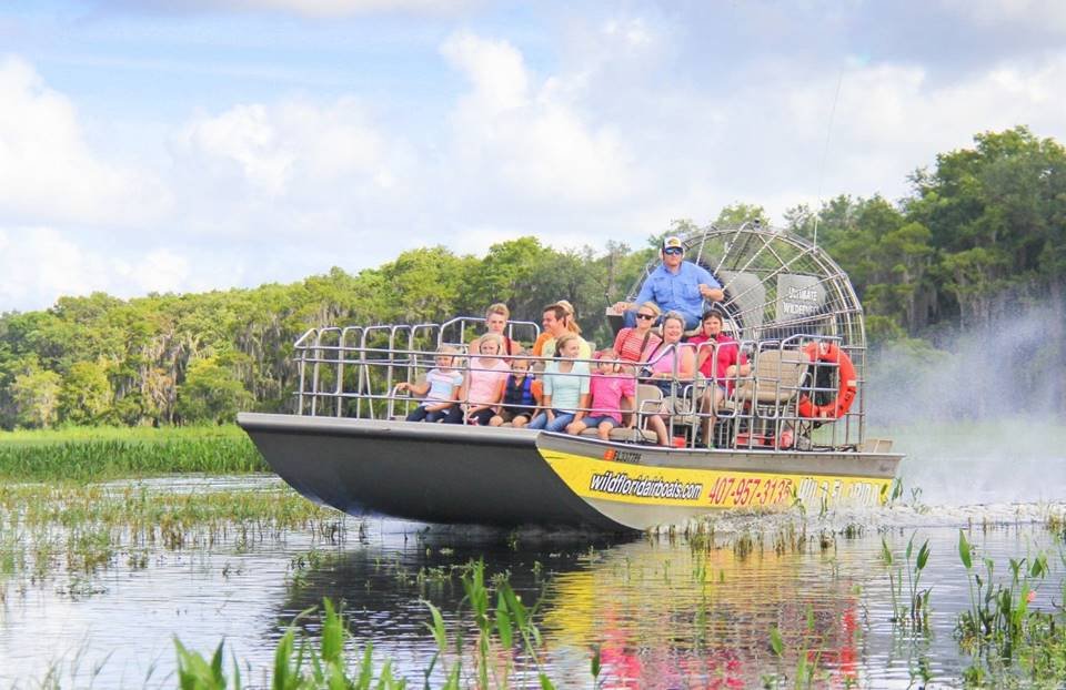Passeio Airboat Wild Life