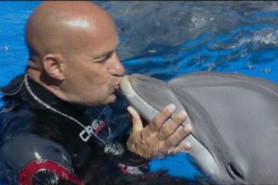 José Luis Barbero, el rey de los delfines.  Es un hombre calvo de piel clara, vestido con un traje térmico negro, dentro de una piscina y besando a un delfín gris - Metrópolis