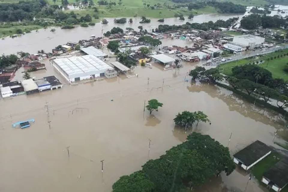 Conselhos Profissionais da Bahia se reúnem para ajudar vítimas das fortes  chuvas no estado - CRMV-BA