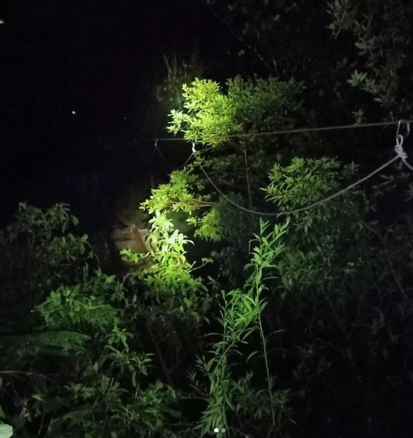 As vítimas ficaram ilhadas e foram resgatadas pelos bombeiros durante a noite por meio de uma tirolesa