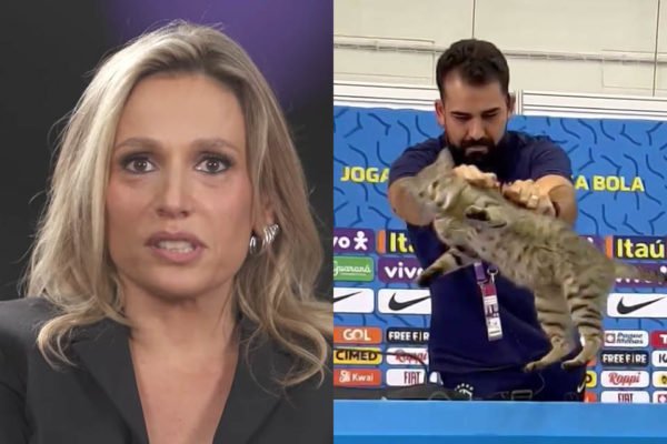 Colírio: veja nossa seleção nacional dos gatos olímpicos