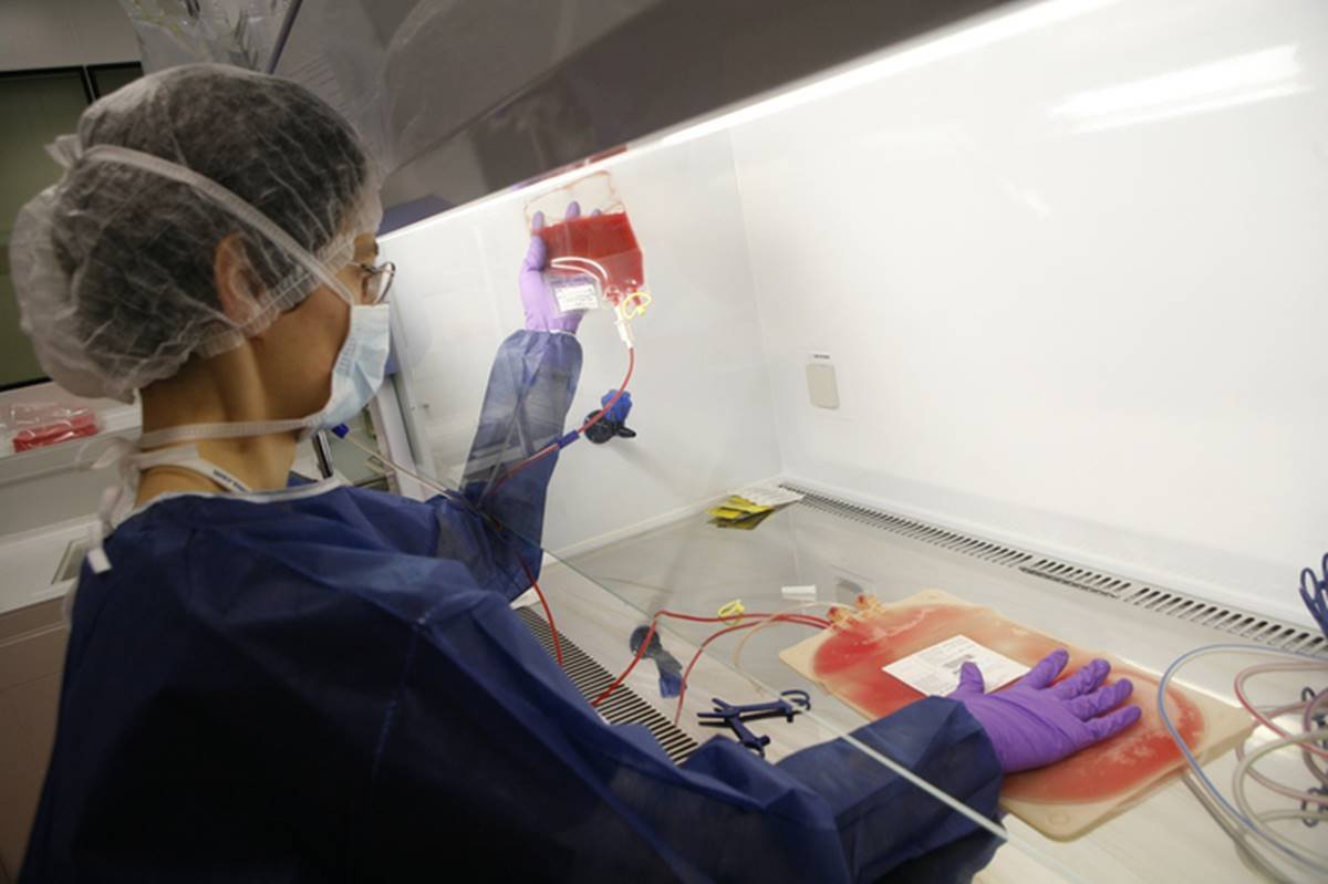 Mulher segurando bolsa de sangue etiquetada