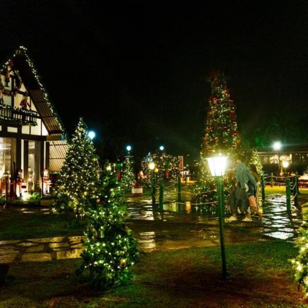 Fotografia colorida da decoração de Natal do Pontão com várias árvores em volta da casa do Papai Noel-Metrópoles