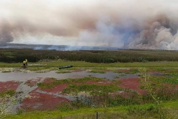 reserva ecológica do Taim atingida por incêndio - metropoles
