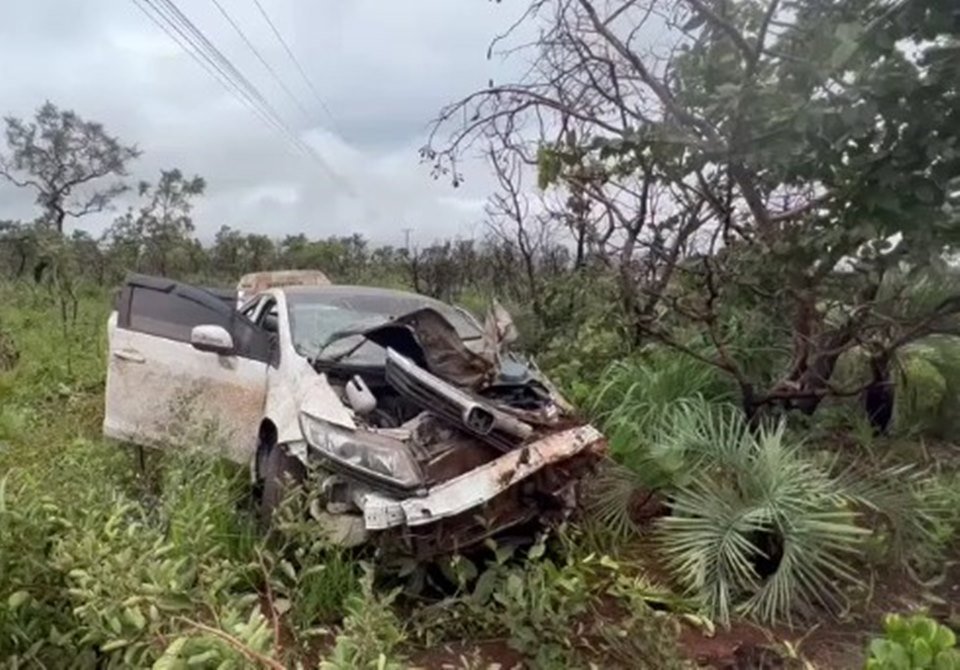 Carro branco destruído em matagal