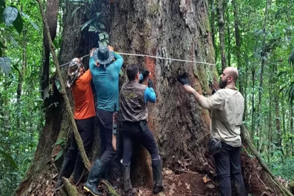 Sobrevivência na Amazônia