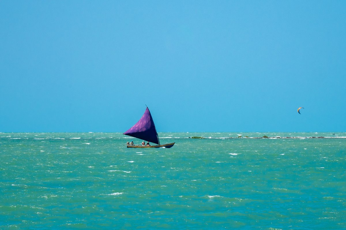 Foto colorida de céu azul e mar verde com barco com vela na cor roxa - Metrópoles