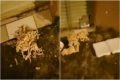 Polícia investiga morte de entregador de aplicativo no interior do Rio
