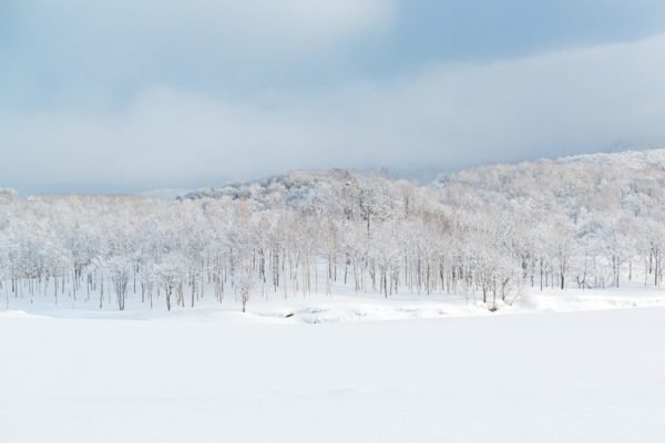 Imagem colorida mostra paisagem após nevasca no Japão