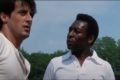 imagem colorida Pelé e Sylvester Stollone