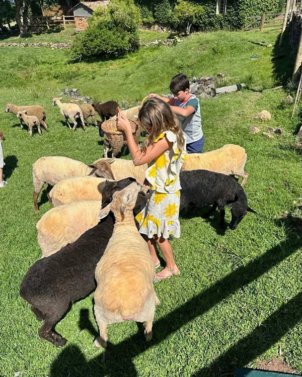 crianças brincando entre bege e ovelha negra - metrópole