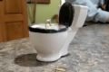 Anel em vaso sanitário