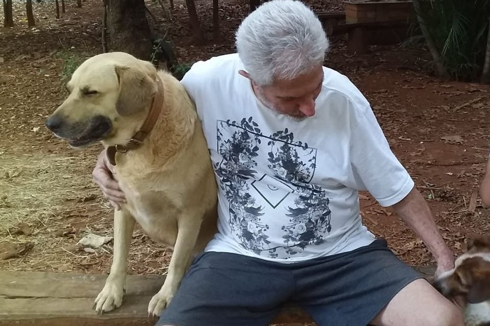 Cachorra se assusta com fogos e some no Lago Oeste