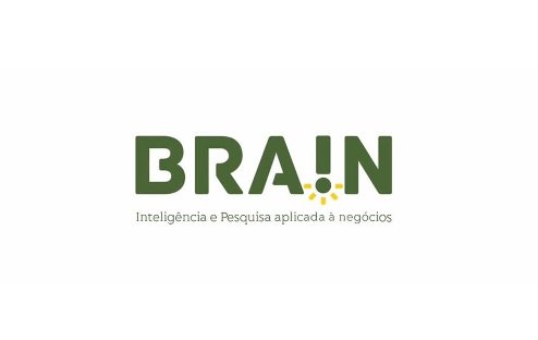 brain-empresa