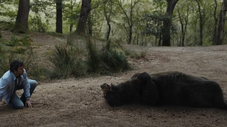 O Urso do Pó Branco” e mais estreias no Cinemark