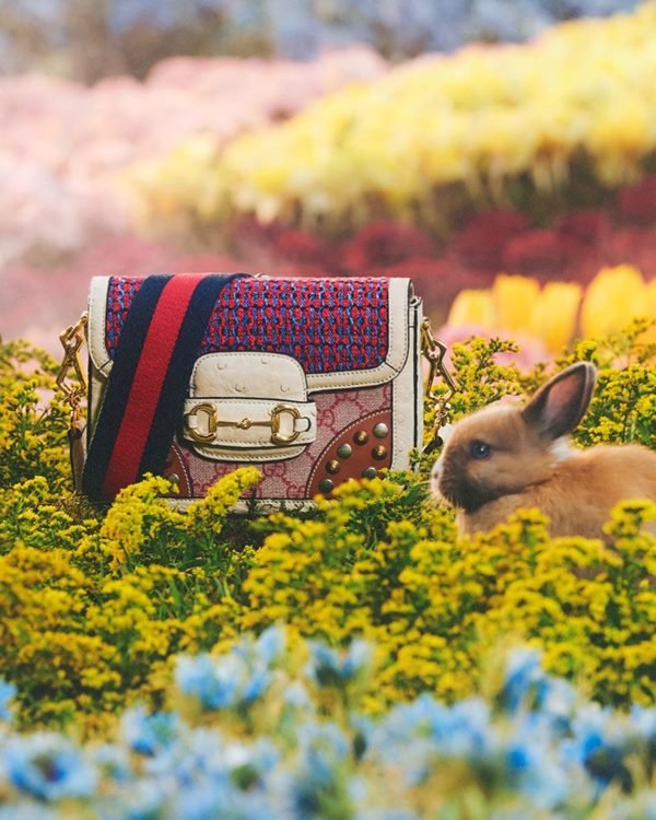 Coelho ao lado de uma bolsa em um campo florido - Metrópoles