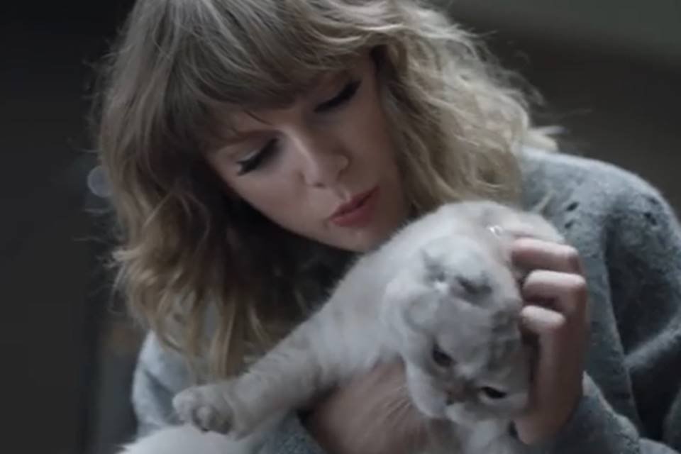 Frame de Taylor Swift com sua gata em vídeo no Instagram - Metrópoles