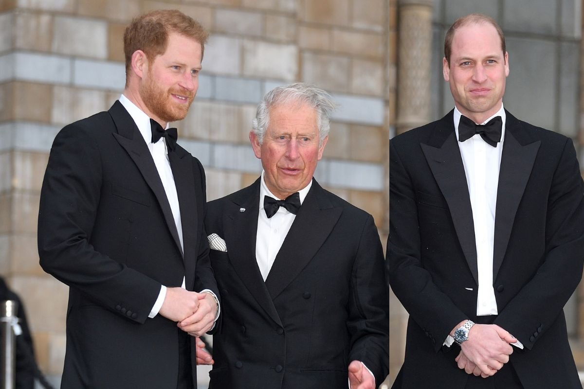 Príncipe Harry, rei Charles e príncipe William_1