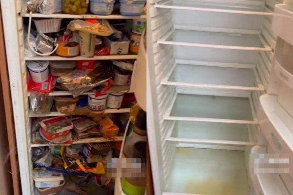 Na imagem, duas fotos: uma geladeira cheia de comidas podres e outra com a geladeira limpa - Metrópoles
