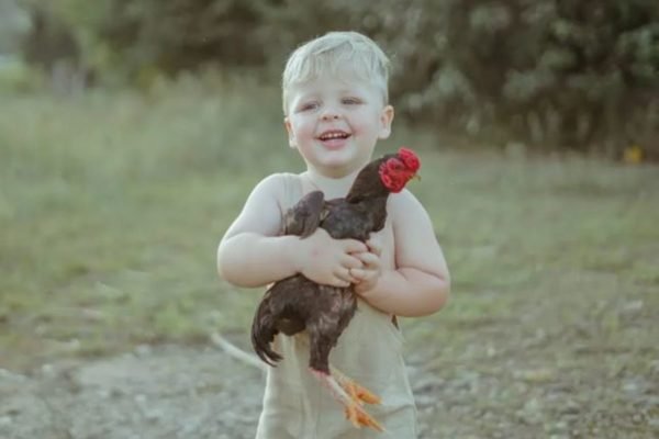 Foto colorida de um menino de dois anos branco segurando um galo