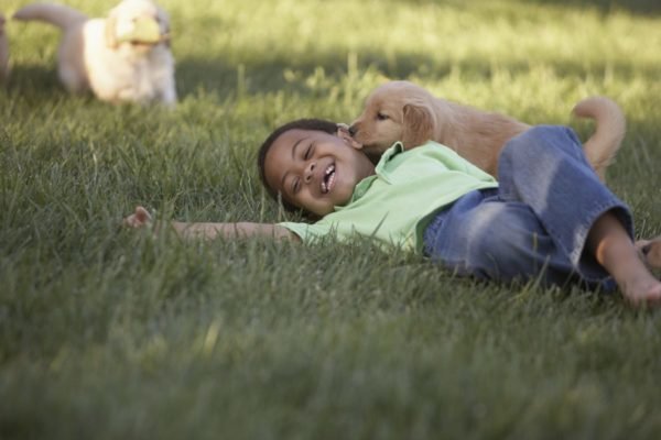 Foto colorida de um menino preto deitado na grama com um cachorro pequeno em cima dele