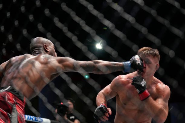 Assistir Combate grátis  Veja as melhores lutas do UFC - Melhor Escolha