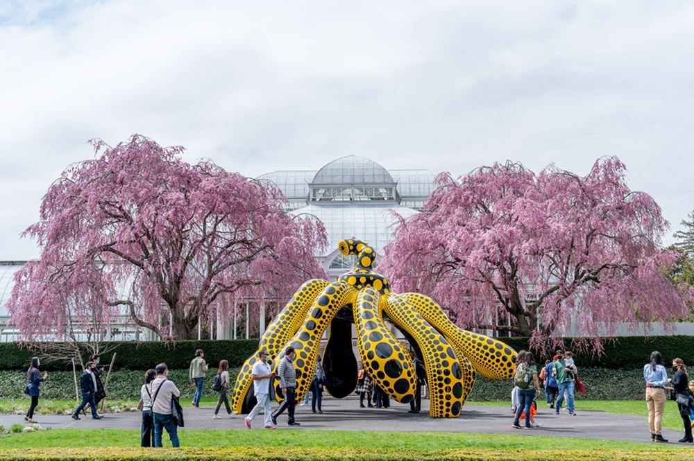 Escutura amarela e preto da artista plástica Yayoi Kusama em um jardim em Nova York, nos Estados Unidos. Pessoas passam por de baixo da obra e interagem com ela. Ao fundo, árvores cerejeiras com flores rosas e uma estufa de vidro. - Metrópoles