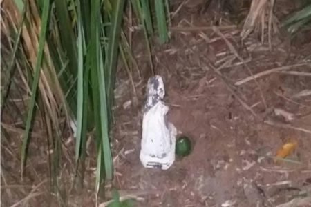 Garota de 13 é estuprada em ritual religioso no Maranhão