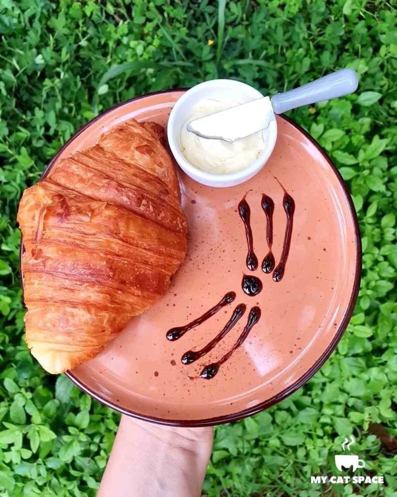 Na foto, um prato com croissant - Metrópoles