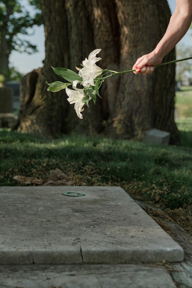 Mão deixando flores em túmulo - Metrópoles