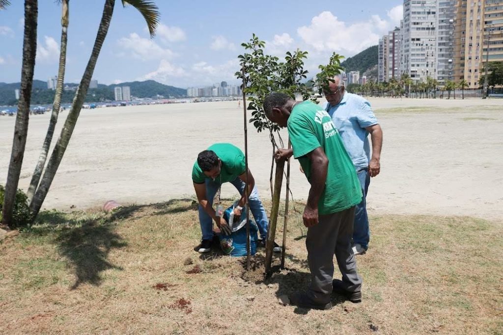 Santos prepara ações para homenagear os 81 anos do Rei Pelé - Lance!